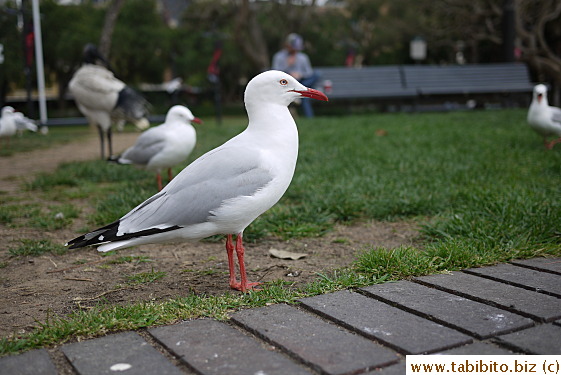 KL took this crisp clear picture with his camera