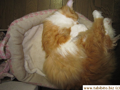 There's more room in your bed you know, Efoo?
