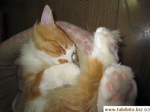 Sound asleep
