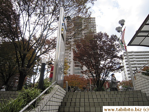 Stepping up to street level from the station is a welcoming sight of maple trees