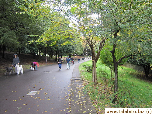 Walking along the vast park leads to an area that reminds me of Central Park or Hyde Park