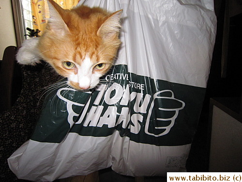 Look, I got you something special for Christmas!