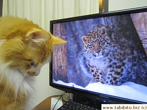 Got distracted for a second