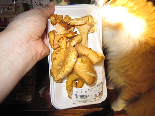 A measly 98gm (3.3oz) of chanterelle costs over US$11!