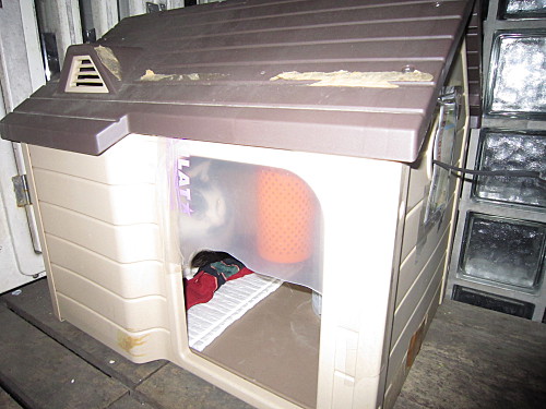 Then we dragged out the other kennel which MT used for all of 5 minutes and refused to go inside again