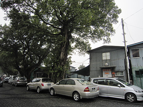 Around the block in this quiet neighborhood,