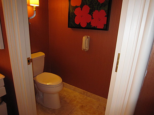 Toilet has a
