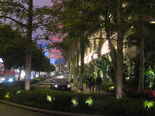 Tree-lined street outside Wynn