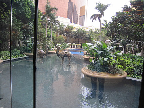 Ground floor pool garden