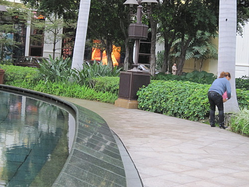 Caught a mainland Chinese woman letting her kid pee in Wynn's garden, disgusting and shameless!