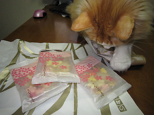 Efoo is only interested in the wrapping and the paper bag 