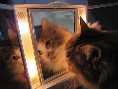 Mirror mirror on the wall, is Efoo the fairest of all? You betcha!