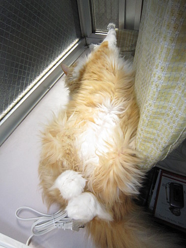 Nice and warm