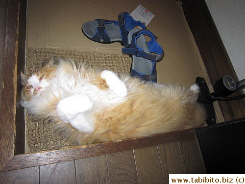 Just the usual nap time