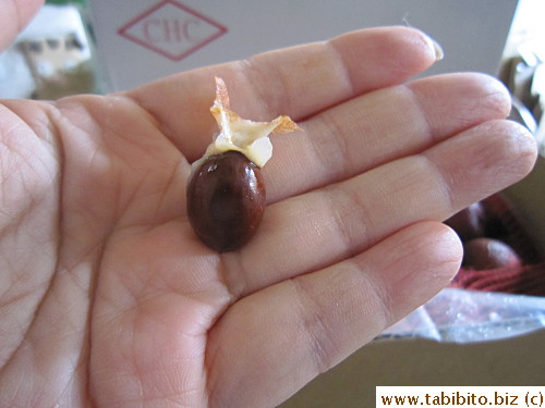Seeds are a bit bigger than Jade Purse, but the juicy meat is outrageously sweet and has the best fragrance