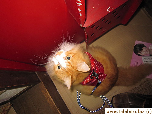 Ready to go for a walk