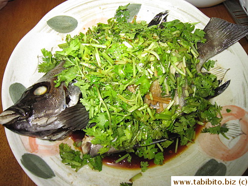 Steamed fish (I like it with tons of green onion and coriander