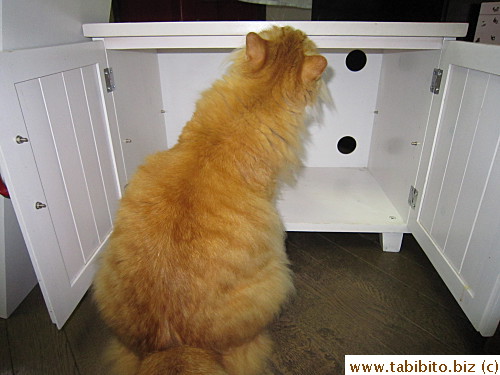 Efoo checking it out