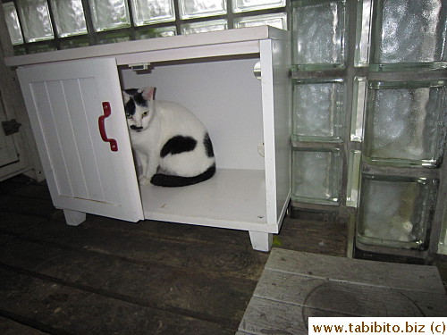 I took out a shelf and half a door as MT's winter home