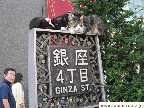 Cats on the Ginza sign