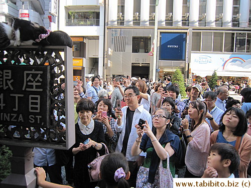 Attracted lots of people