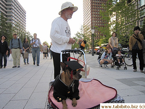 This man brought his two dogs to Tokyo Station square so people could take pictures of them