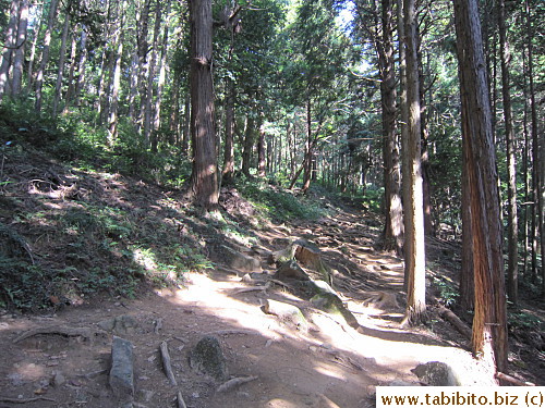 At first the trail is fairly easy