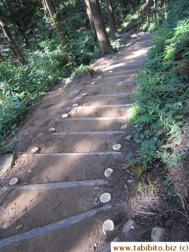 with wide and flat steps