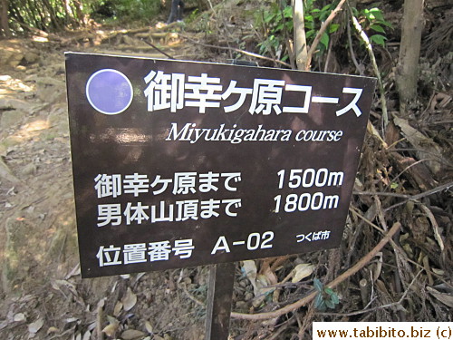 This is the course we took (supposedly to be finished in 90 minutes, er...)