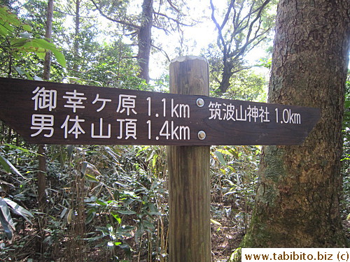 1.1km to Miyukigahara or 1.4km to Mt. Nantai (Male mountain) top
