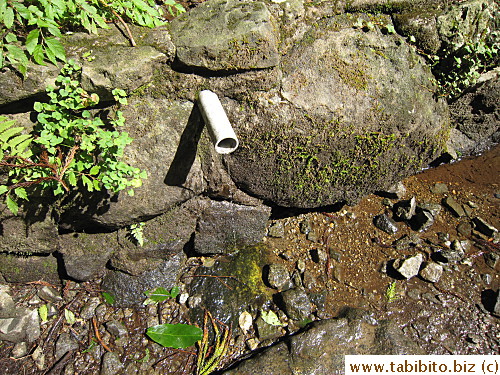 Water seeps from the rocks