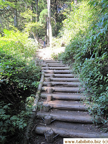 Thank goodness there are some decent steps after a hard climb