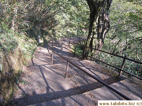 I chickened out and decided to take the easy way down while my friend hiked down along the Otatsuishi course