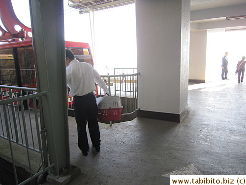 Staff helps with the carry case