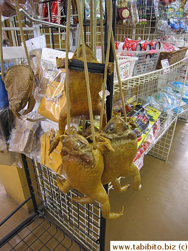 These frog purses look scarily real