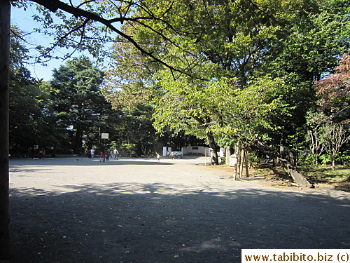 Open space playground