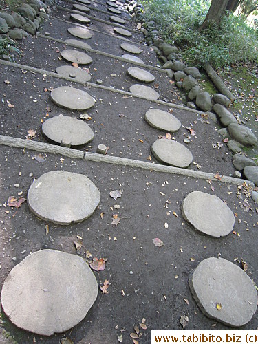 The tree stumps may be unique and all, but very hard to walk on because they are not flush with the ground