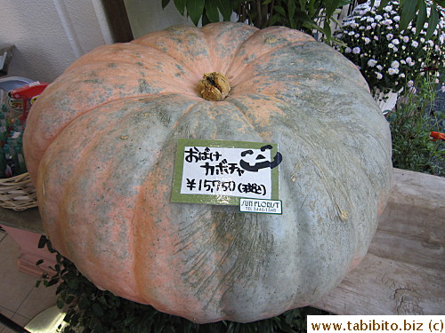 A big pumpkin with BIG price, holy smoke! ($180)