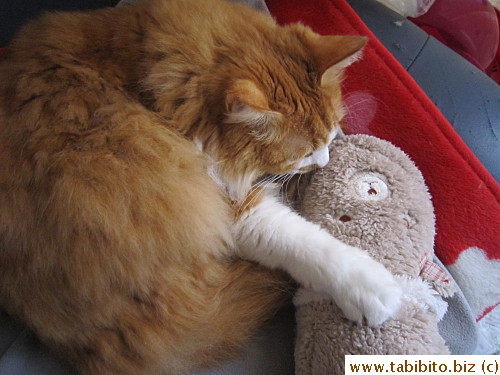 Efoo first sniffs it