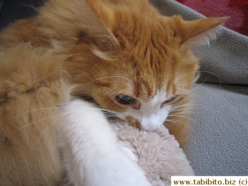 bites the hell out of it