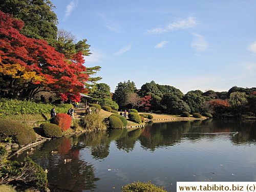 Japanese garden