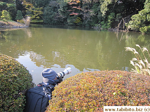 Photographers go to great length to get that perfect shot