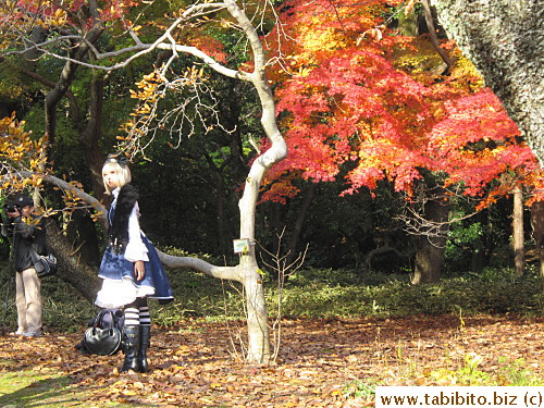 Cosplay girl