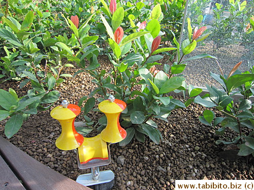 The gadget on the ground matches the plants