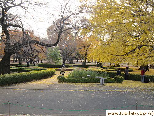 English garden is small