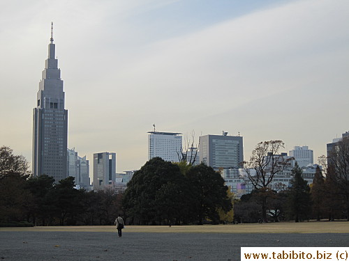Shinjuku in the background