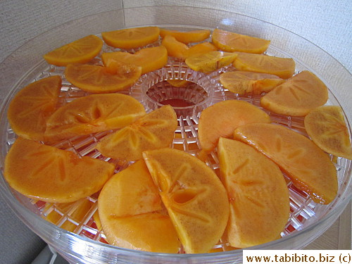 Persimmons