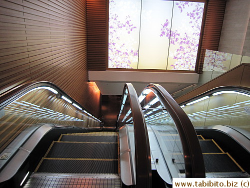 After showing your boarding pass at the counter, you go down these escalators