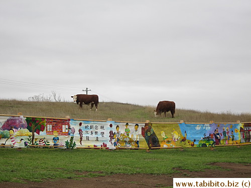 A cattle ranch is right next door