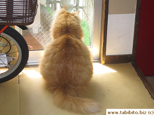 Efoo has the dreadful pear shape body like me!